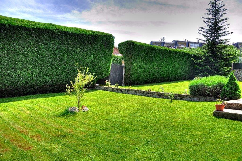 Casa Bellavista Becerril Villa Becerril de la Sierra Exteriör bild